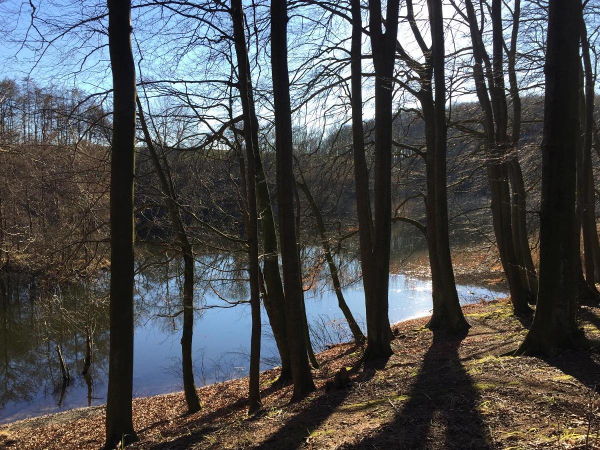 洛米Hof Uhleck Am Koenigsstuhl公寓 外观 照片